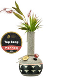 My Bud Vase "Coyōté" Water Pipe - Award Winning Water Pipe